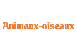 animaux - oiseaux